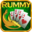 Indian Rummy Comfun-13 Card Rummy Game Online